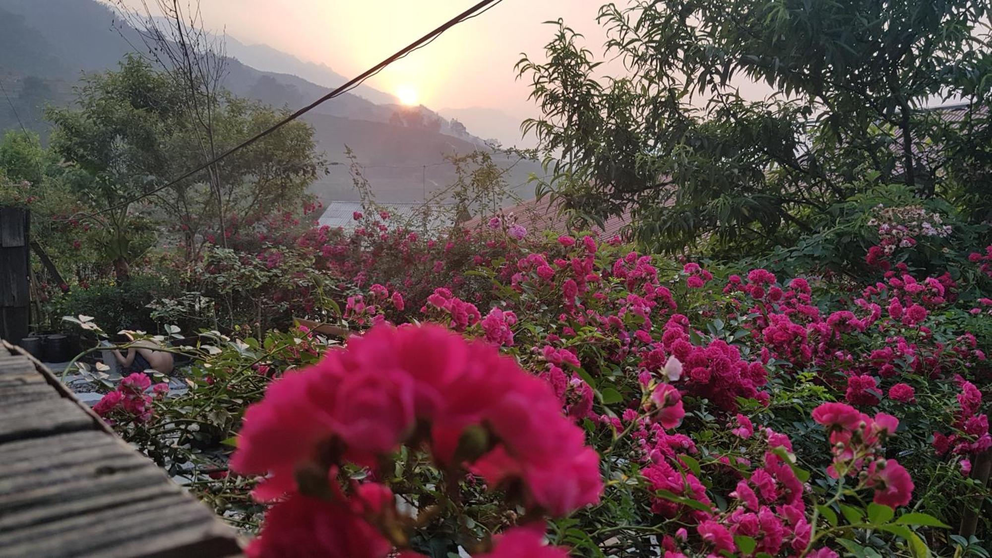 Tavan View Homestay Sapa Εξωτερικό φωτογραφία