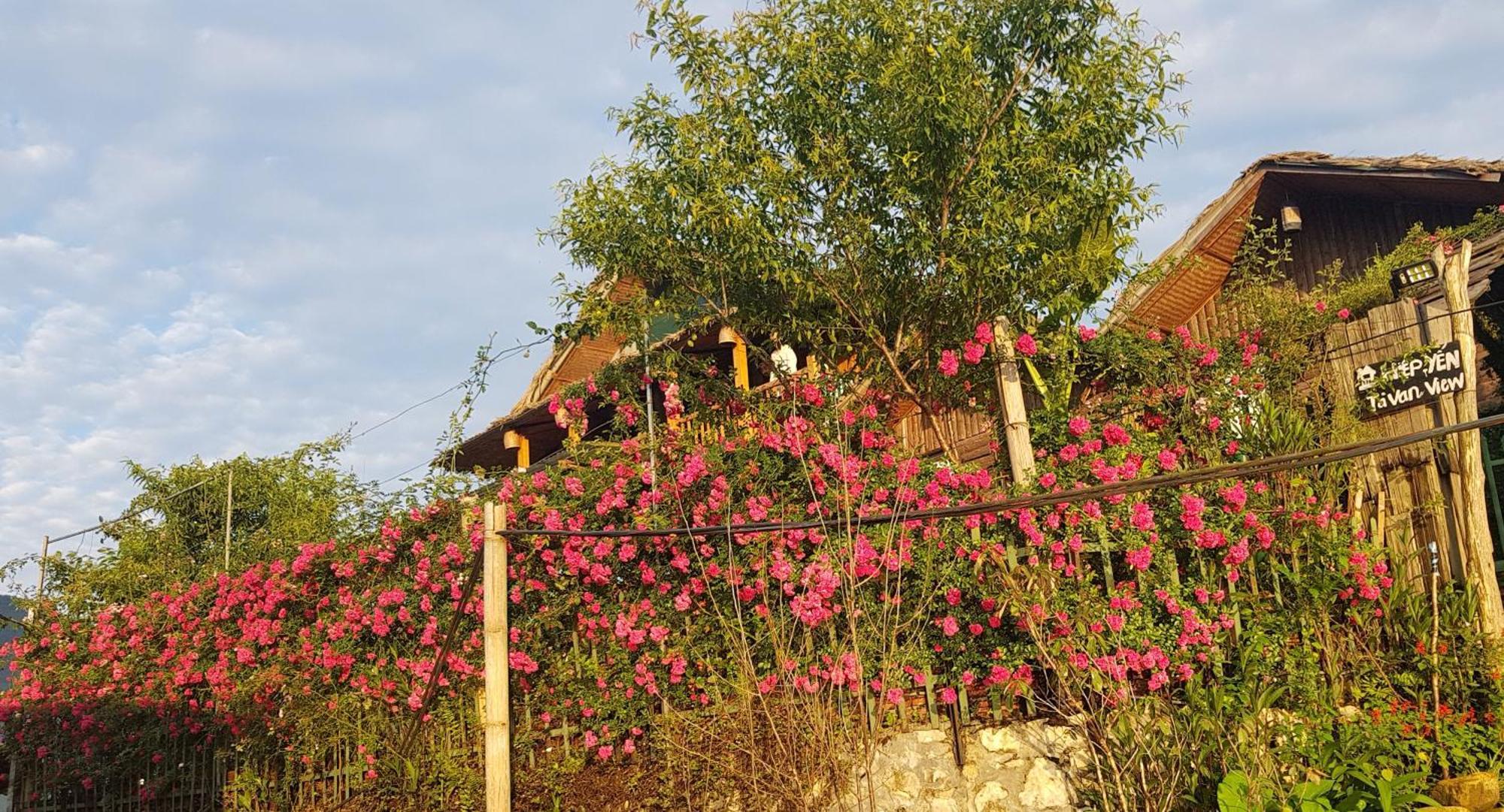 Tavan View Homestay Sapa Εξωτερικό φωτογραφία